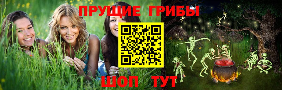 Галлюциногенные грибы ЛСД Борзя
